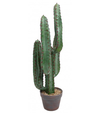 Cactus euphorbe artificiel