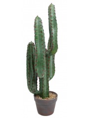 Cactus euphorbe artificiel