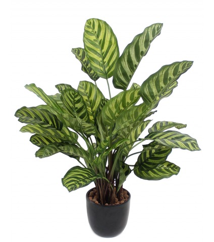 Maranta artificiel