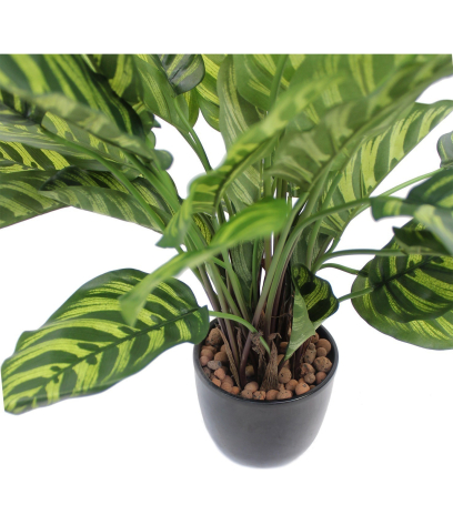 Maranta artificiel