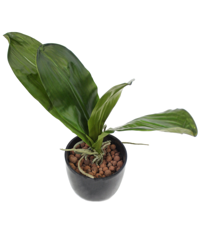 Phalaenopsis artificielle en feuilles