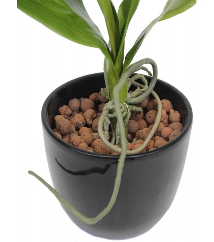 Phalaenopsis artificielle en feuilles