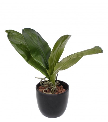 Phalaenopsis artificielle en feuilles