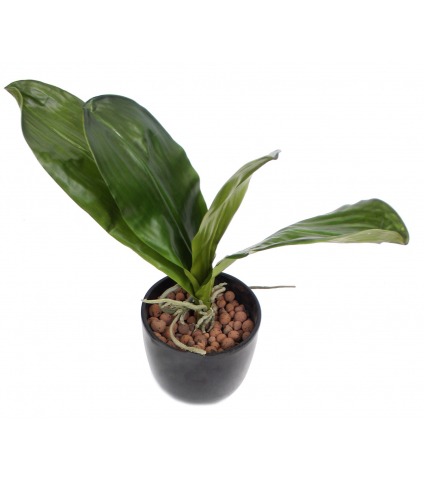 Phalaenopsis artificielle en feuilles