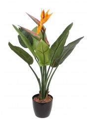 Strelitzia artificiel