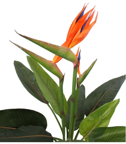 Strelitzia artificiel à trois fleurs