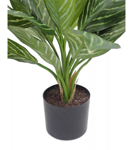 Xanthosoma artificiel