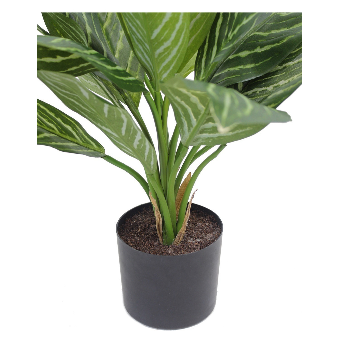 Plantes Vertes Artificielles