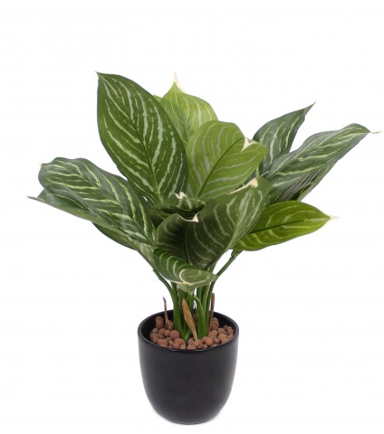 Xanthosoma artificiel