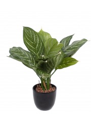 Xanthosoma artificiel