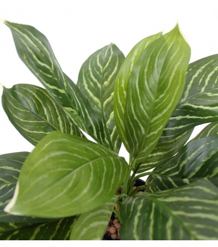 Xanthosoma artificiel