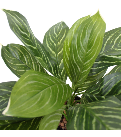 Xanthosoma artificiel
