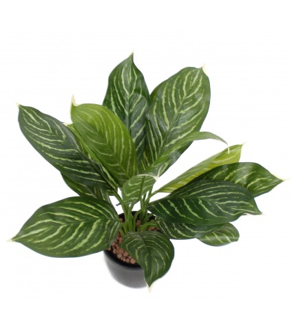 Xanthosoma artificiel