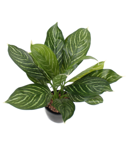 Xanthosoma artificiel