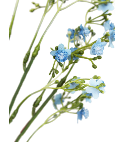 Myosotis artificiel bleu