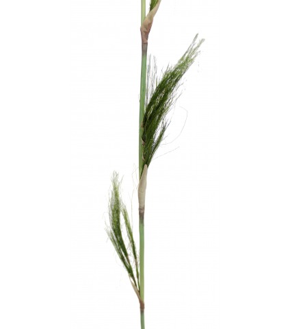 Branche de bambou artificiel