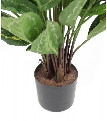 Calathea artificiel zébré