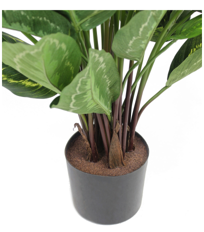 Calathea artificiel zébré