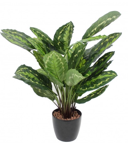 Calathea artificiel zébré