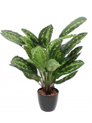 Calathea artificiel zébré