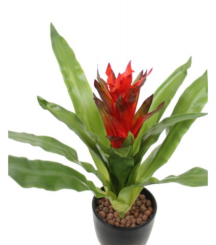 Guzmania artificiel