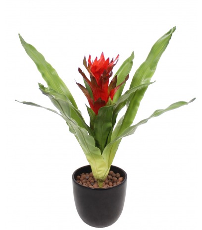 Guzmania artificiel