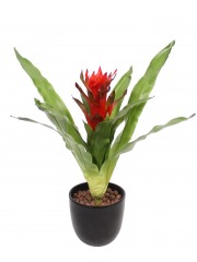 Guzmania artificiel