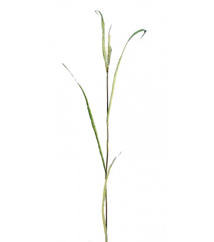 Branche de miscanthus artificiel