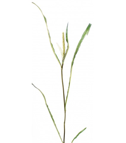 Branche de miscanthus artificiel