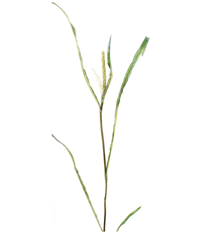 Branche de miscanthus artificiel