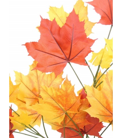 Feuille de platane automne