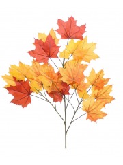 Feuille de platane automne