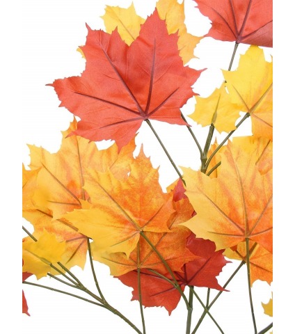 Feuille de platane automne