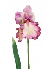 Iris rose artificiel
