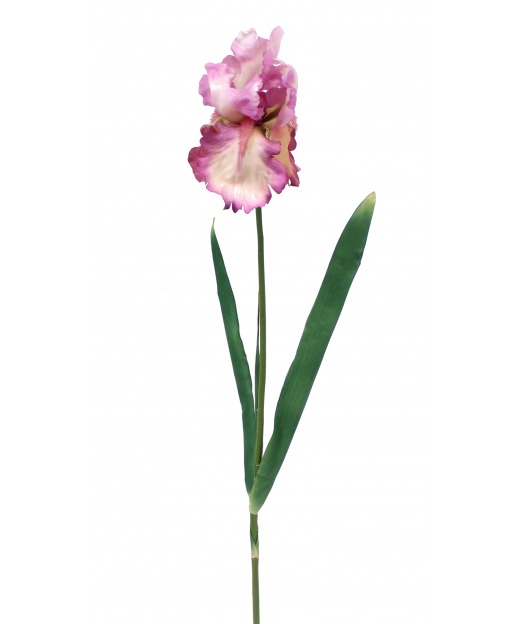 Iris rose artificiel