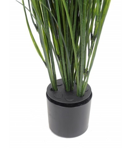 Fausse herbe de rivière