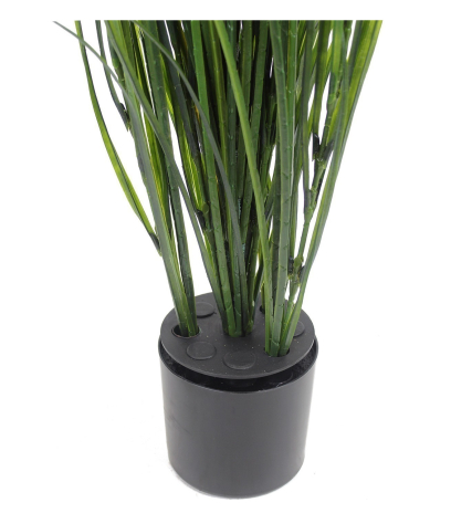 Fausse herbe de rivière