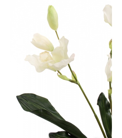 Orchidée artificielle lycaste