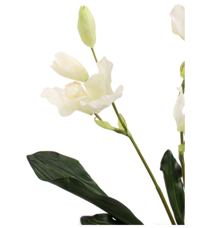 Orchidée artificielle lycaste