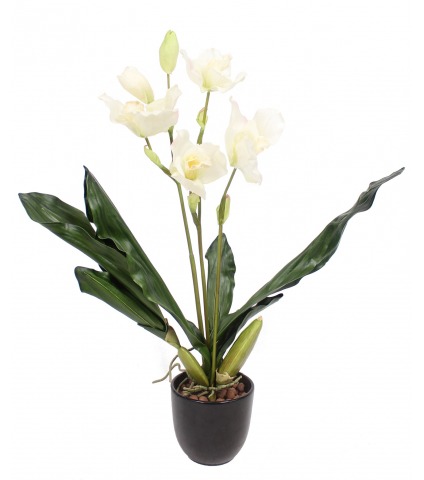 Orchidée artificielle lycaste