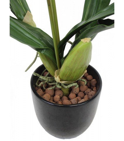 Orchidée artificielle lycaste