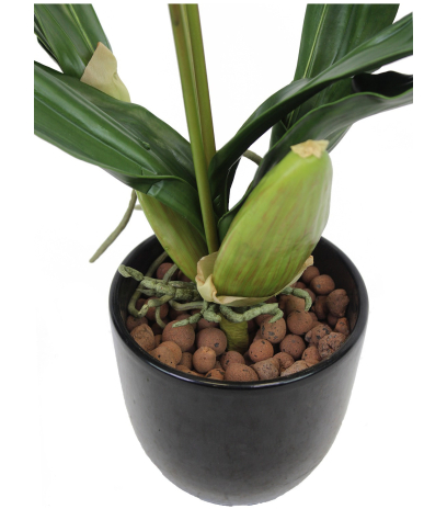 Orchidée artificielle lycaste