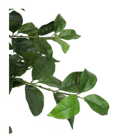 Citronnier artificiel