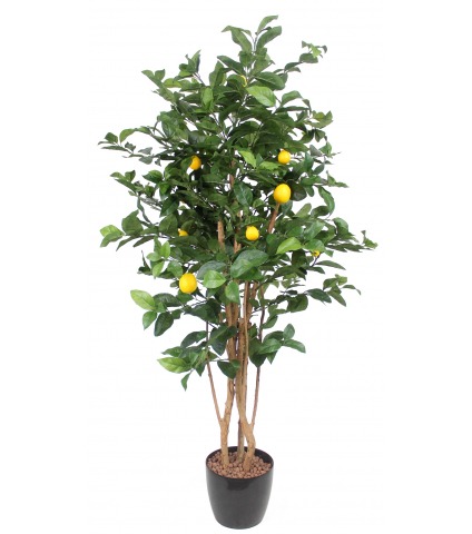 Citronnier artificiel