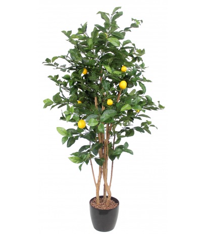 Citronnier artificiel