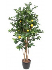 Citronnier artificiel