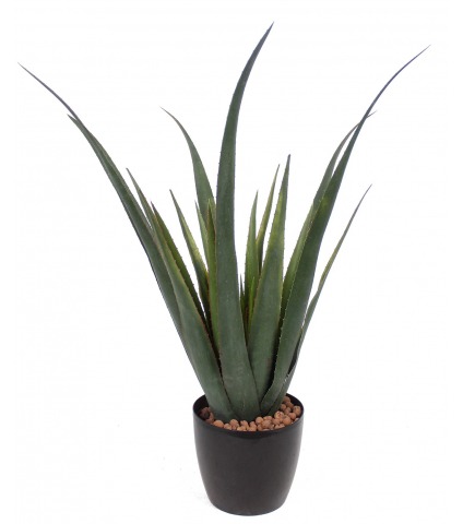 Aloe ferox artificiel