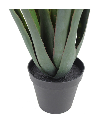 Aloe ferox artificiel