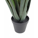 Aloe ferox artificiel