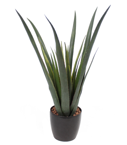 Aloe ferox artificiel